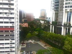 Spottiswoode Park (D2), Apartment #367537971